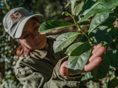 organic voices news overview 6-13